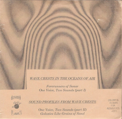 Two Projects To Harness The Surge Of The Tides : Two Projects To Harness The Surge Of The Tides (7", EP, Ltd, Num, Gre)