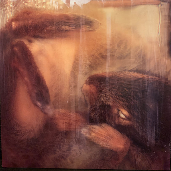 Creepoid : Wet (12", S/Sided, EP, Etch, Ltd)