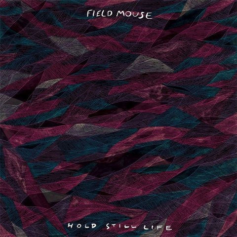 Field Mouse : Hold Still Life (LP, Pur)