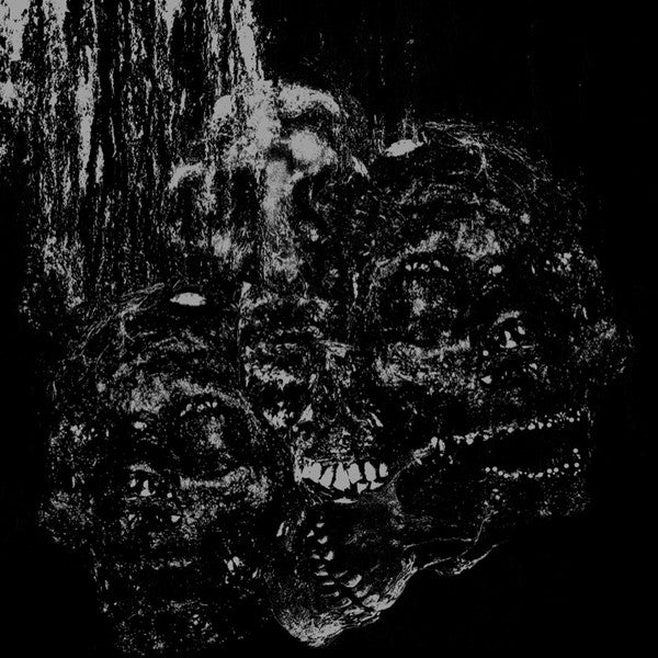 Vermin Womb : Permanence (12", EP, Ltd, Mil)