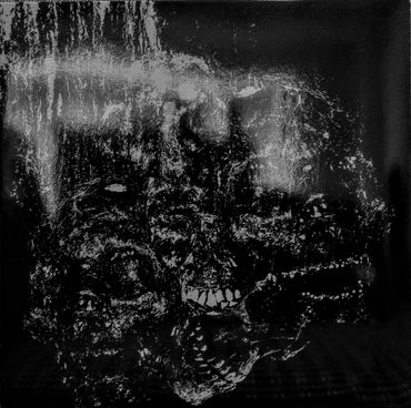 Vermin Womb : Permanence (12", EP, Ltd, Mil)