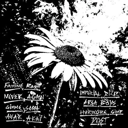 Soma Coma (2) : Dust (12")