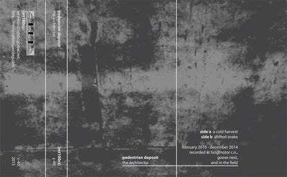 Pedestrian Deposit : The Architector (Cass, Album, Ltd, C40)