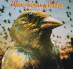 Rollerskate Skinny : Speed To My Side (CD, Single)