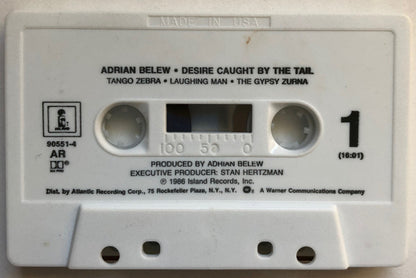Adrian Belew : Desire Caught By The Tail (Cass, Album)