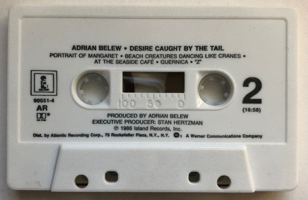 Adrian Belew : Desire Caught By The Tail (Cass, Album)