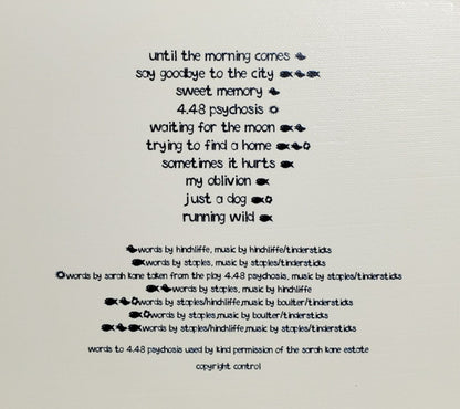 Tindersticks : Waiting For The Moon (CD, Album, Dig)