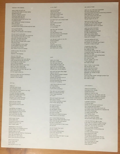 SWA : Your Future If You Have One (LP, Album)