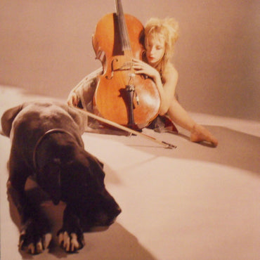 Polly Panic : Painkiller (CD, Album)