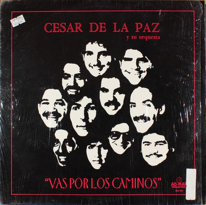 Cesar De La Paz Y Su Orquesta : Vas Por Los Caminos (12")