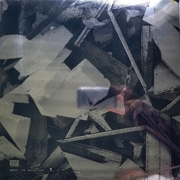 The Fun Years : Heroes Of The Second Story Walk-Up (LP, Album, Ltd, Num, Cle)