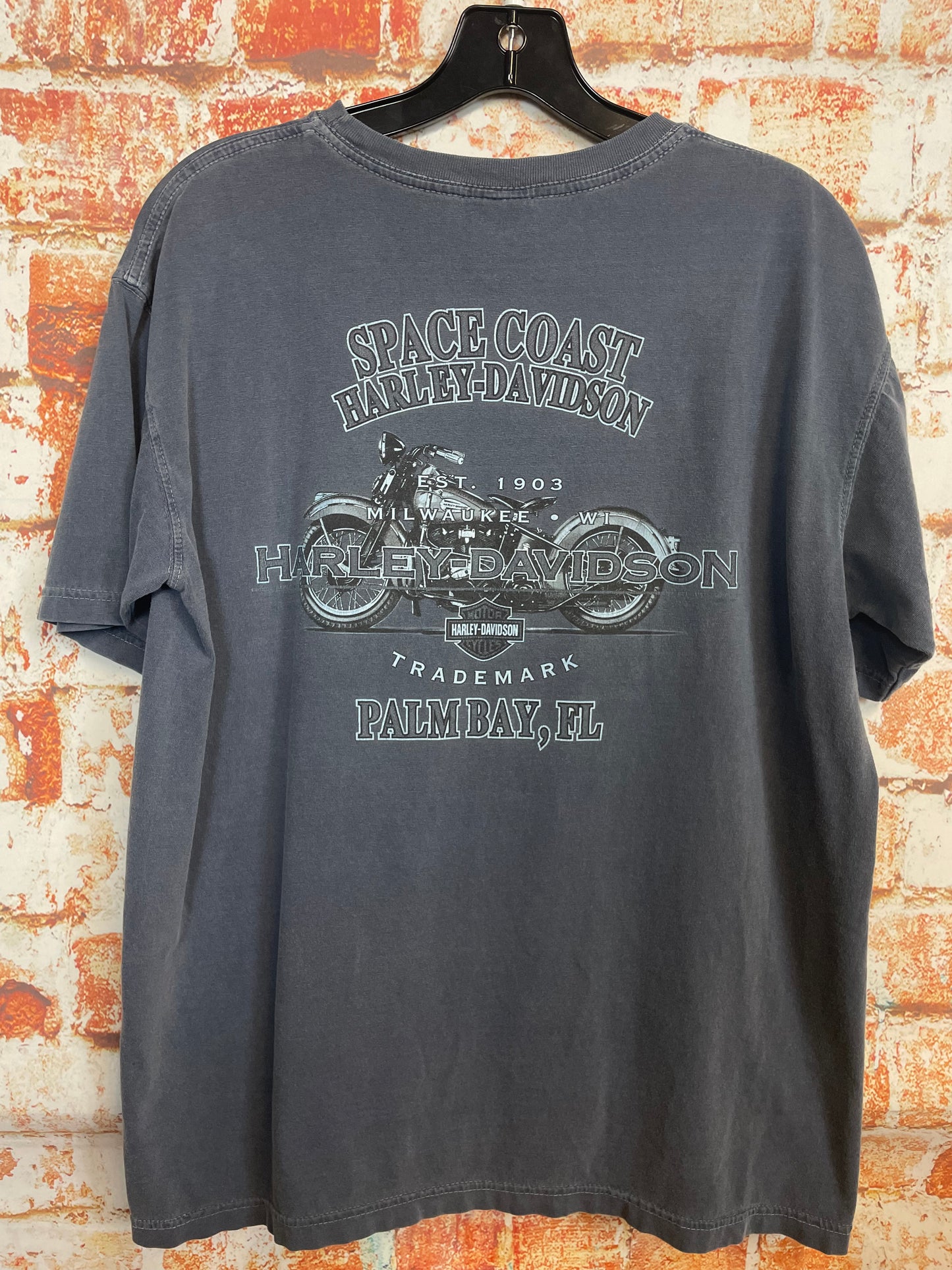 Harley-Davidson, used t-shirt (M)