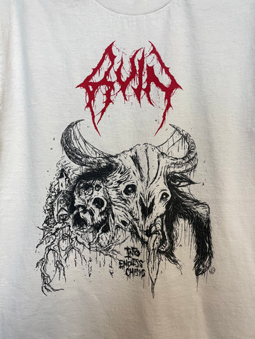 Ruin, used band shirt (S)