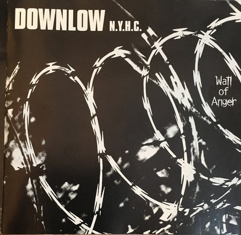 Down Low (2) : Wall Of Anger (CD, Album)