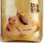 Putrid Offal : Anatomy (CD, EP, Ltd, Num, Dig)