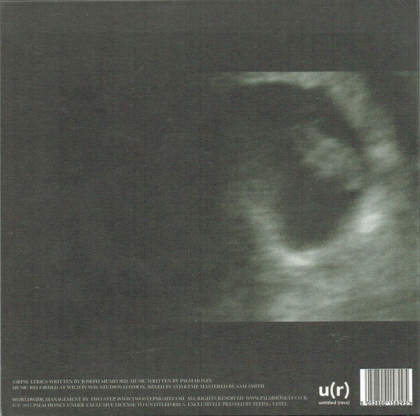 Palm Honey : Starving Hysterical Naked (7")