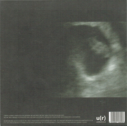 Palm Honey : Starving Hysterical Naked (7")