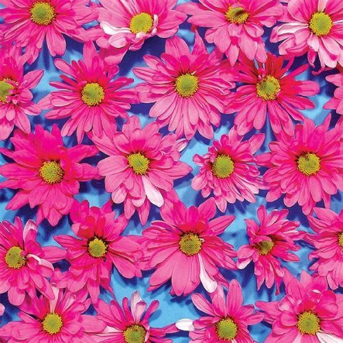 The Austerity Program : Black Madonna (CD, Album)