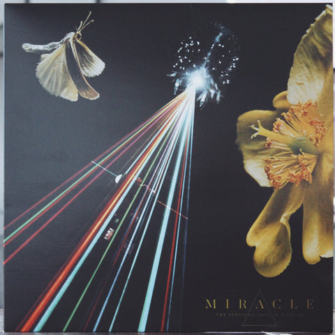 Miracle (11) : The Strife Of Love In A Dream (LP, Album, Ltd, Blu)