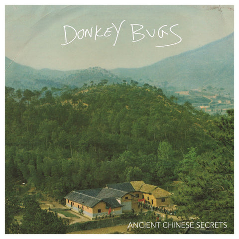 Donkey Bugs : Ancient Chinese Secrets (12", Album, W/Lbl)