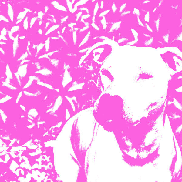 Jenna And The Pups, +HIRS+ : Split LP (12")