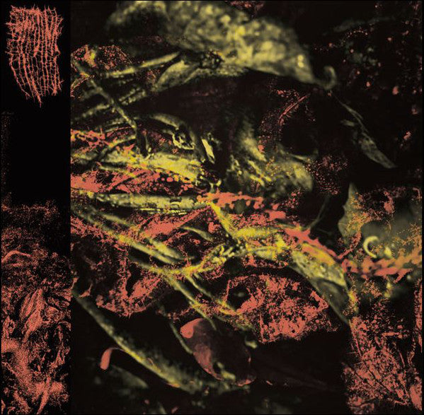 Hissing : Permanent Destitution (LP, Album)