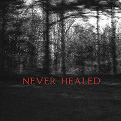 Never Healed : Never Healed (LP, Album)