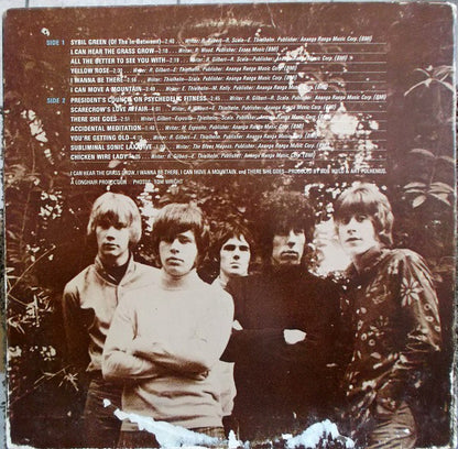 Blues Magoos : Basic Blues Magoos (LP, Album)