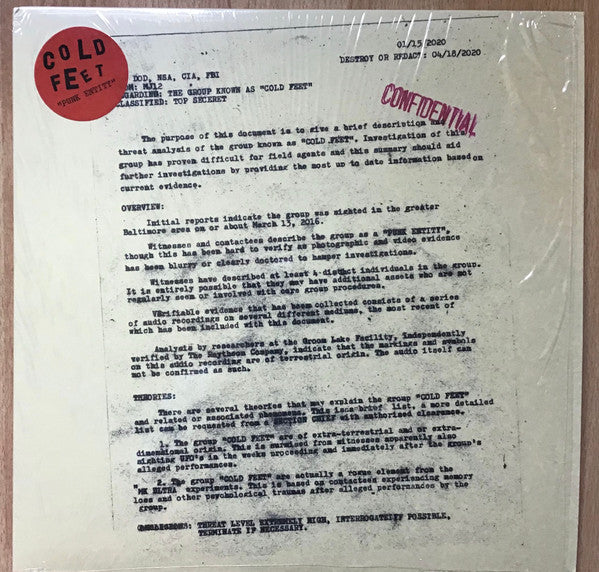 Cold Feet : Punk Entity  (12")