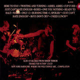 Sheer Terror : Just Can't Hate Enough (CD, Album, RE)