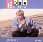 Den Harrow : Tell Me Why (12", Maxi)