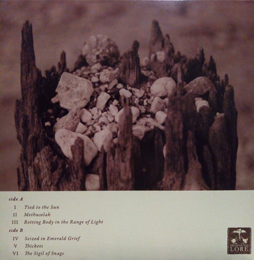 Feral Season : Rotting Body In The Range Of Light (LP, Album)