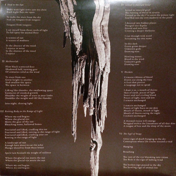 Feral Season : Rotting Body In The Range Of Light (LP, Album)