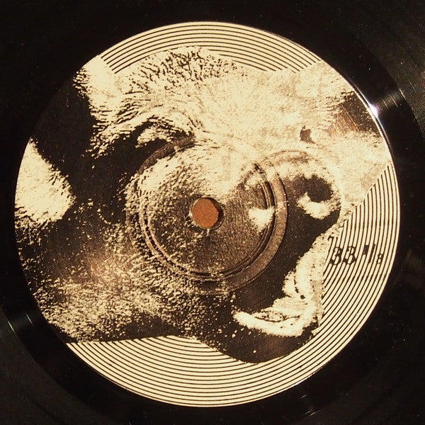 Slughog / Spore (2) : Forcefeed / Power Behind (7", Ltd, Num)