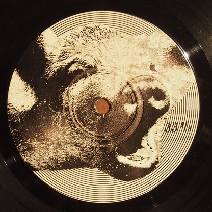 Slughog / Spore (2) : Forcefeed / Power Behind (7", Ltd, Num)