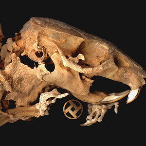 Rot In Hell : As Pearls Before Swine (LP, Album, Amb)