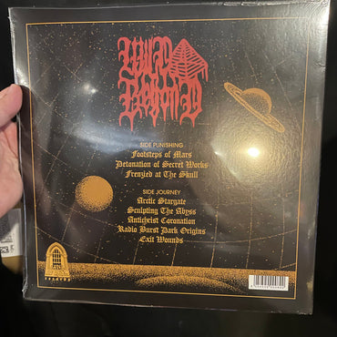 Wild Beyond : Wild Beyond (LP, Album, Ltd)