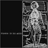 Flowers In The Attic : Flowers In The Attic (CD, EP)