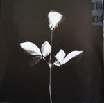 Depeche Mode : Violator (CD, Album, RE)