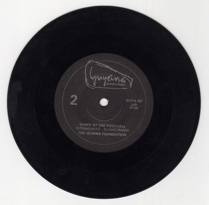 The Iguana Foundation : Turn Around (7")