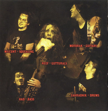 Mincing Fury And Guttural Clamour Of Queer Decay : Devolution (CD, Album)