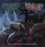 Animals Killing People / Andromorphus Rexalia : Phylum Morph-Apokalupsis (CD, Album, Comp)