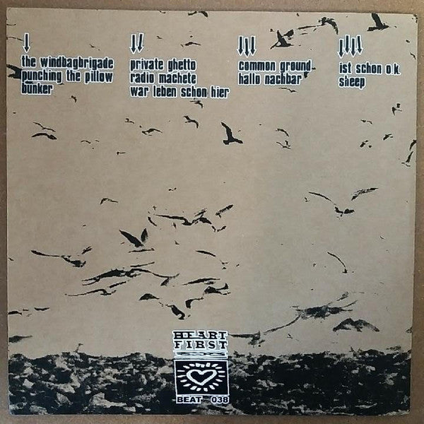 Solid Decline : Adorning The Void (2x7", W/Lbl)