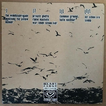 Solid Decline : Adorning The Void (2x7", W/Lbl)