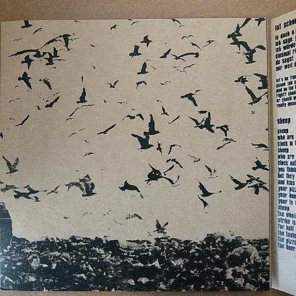 Solid Decline : Adorning The Void (2x7", W/Lbl)