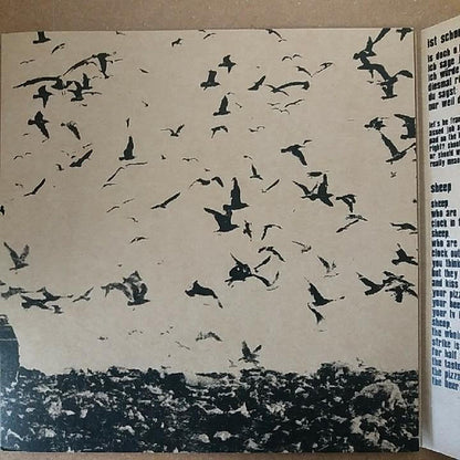 Solid Decline : Adorning The Void (2x7", W/Lbl)