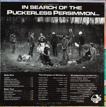 The Kingdom Of Simitz : In Search Of The Puckerless Persimmon... (LP)