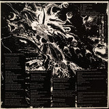 Innumerable Forms / Blessed Offal : Innumerable Forms / Blessed Offal (LP)