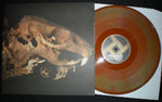 Rot In Hell : As Pearls Before Swine (LP, Album, Ltd, Gol)