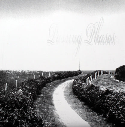 Passing Phases : Tour (7", Col)